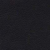 Caprone Fine Furniture Leather- Raven - rgvtex.com