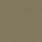 Leon Softside Vinyl