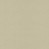 Leon Softside Vinyl