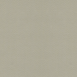 Leon Softside Vinyl