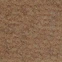 Med Beige 8835  El Dorado Cut Pile Automotive Carpet