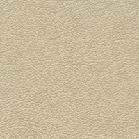 Caprone Fine Furniture Leather- Skinlight - rgvtex.com