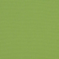 Sunbrella® 6085 - 60" Ginkgo