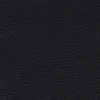 Caprone Fine Furniture Leather- Raven - rgvtex.com